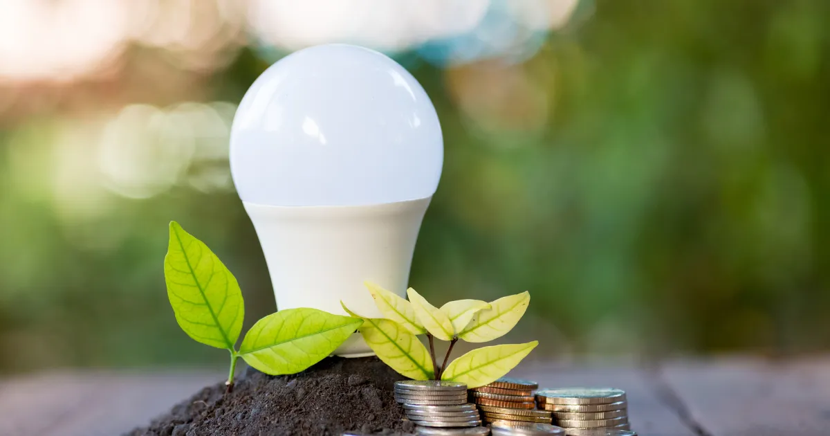 Na fotke žiarovka s peniazmi a so zelenou halúzkou predstavuje zelenú energiu.