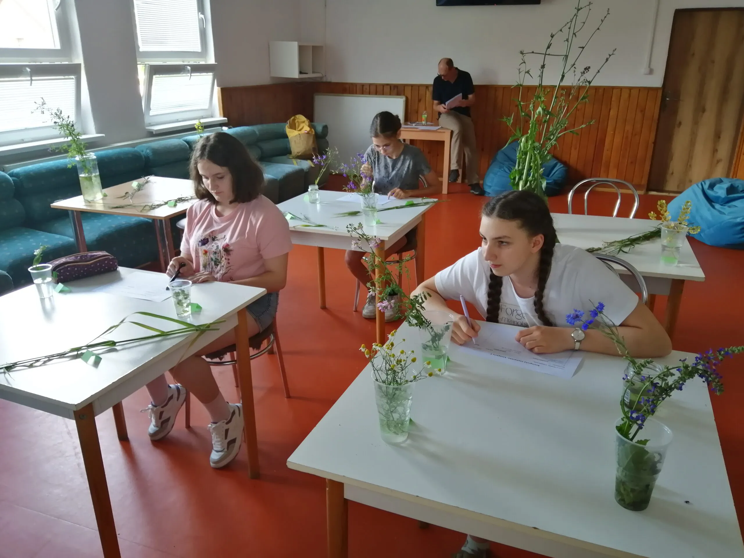 Na obrázku tri mladé dievčatá, ktoré súťažia na Biologickej olympiáde a pred sebou majú rôzne druhy rastlín, ktoré musia správne na papier popísať. V pozadí sedí dozorujúci učiteľ.